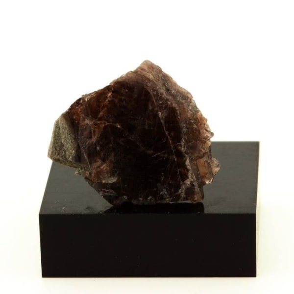 Mineral samling. Axinit. 24,0 cent. Chamrousse, Belledonne, Isère, Frankrike.