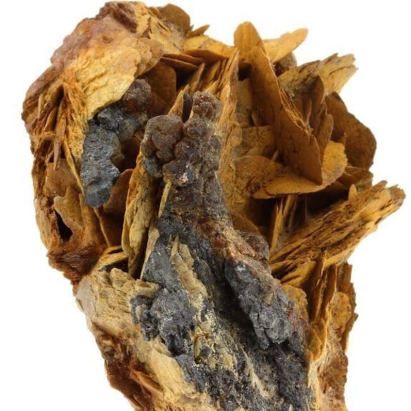 Stenar och mineraler. Siderit + Sphalerit + Bournonit. 1170,0 cent. Pierre Rousse gruva, Vizille, Frankrike.
