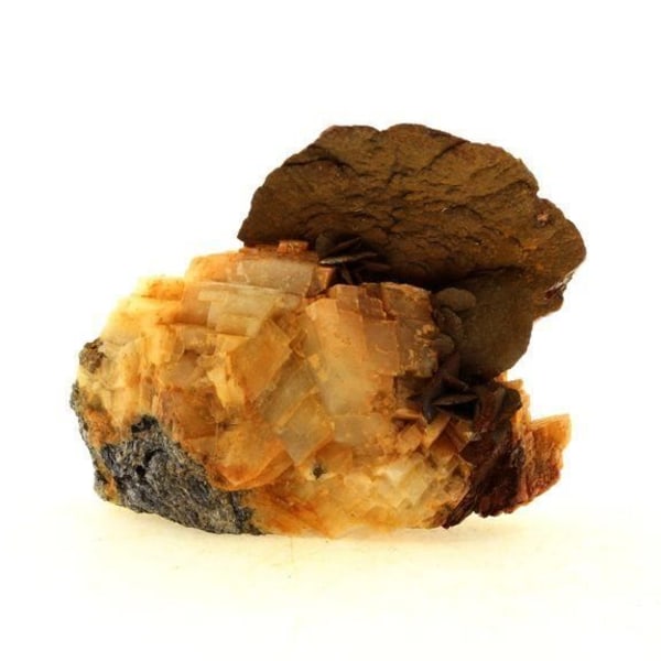 Sten og mineraler. Siderit + Dolomit. 160,70 øre. Pierre-Rousse mine, Vizille, Isère, Frankrig.