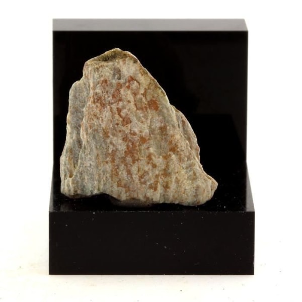 Stenar och mineraler. Fläckig skiffer. 16,63 cent. Estrie, Quebec, Kanada.