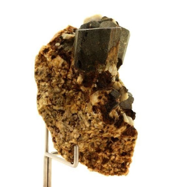 Stenar och mineraler. Augite. 171,0 cent. Imilchil, Errachidia, Marocko.