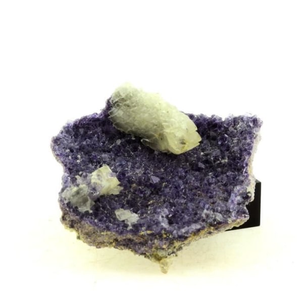Stenar och mineraler. Fluorit + Baryt. 113,0 cent. Saint-Péray, Ardèche, Frankrike.