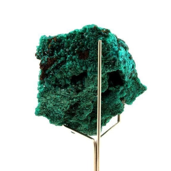 Sten og Mineraler - ABIJOUX - Dioptase - 542,0 ct - Pimbi-høj, Mindouli, Congo - Grønt