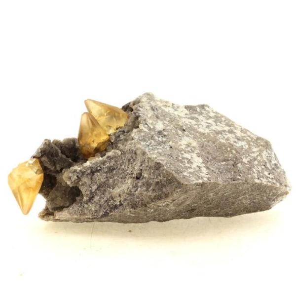 Stenar och mineraler. Kalcit. 579,0 ct. La Sambre Quarry, Landelies, Belgien.