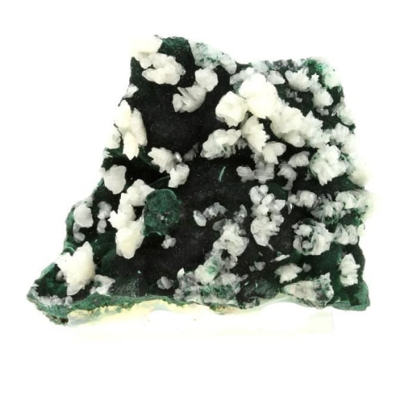 Sten og mineraler. Malakit + Cerussit. 792,0 ct. L'Etoile du Congo-minen, Lubumbashi, Congo.