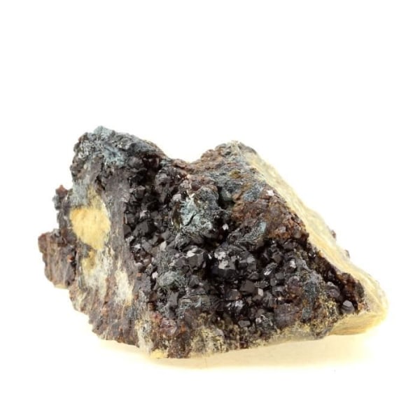 Stenar och mineraler. Sphalerit (Blende) + Bournonit. 1236,0 cent. La Sanguinéde-gruvan, Saint-Laurent-le-Minier, Frankrike.