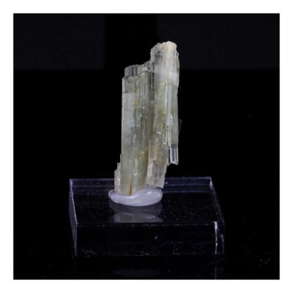 Stenar och mineraler. Klinozoisite. 15,74 cent. Marine de Scala, Canari, Haute-Corse, Frankrike.