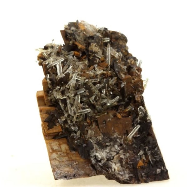 Stenar och mineraler. Järndolomit + kvarts + siderit. 263,05 cent. Chachatier-gruvan, Isère, Frankrike.