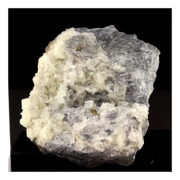 Stenar och mineraler. Pyrit + Dolomit. 895,5 ct. Saint-Pierre-de-Mésage, Isère, Frankrike.