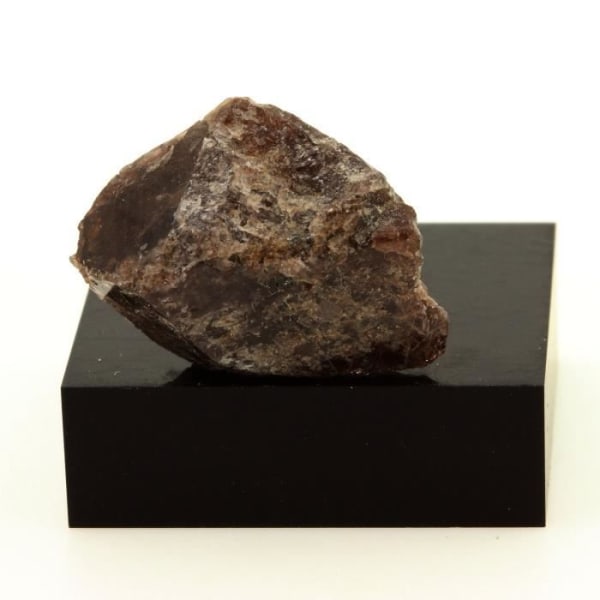 Mineral samling. Axinit. 31,2 cent. Chamrousse, Belledonne, Isère, Frankrike.