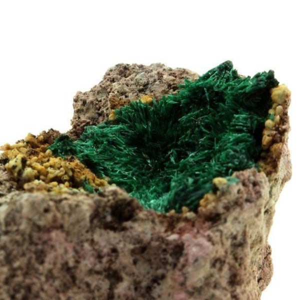 Sten og mineraler. Brochantite. 170,0 ct. Kabolela-minen, Lualaba, Congo.