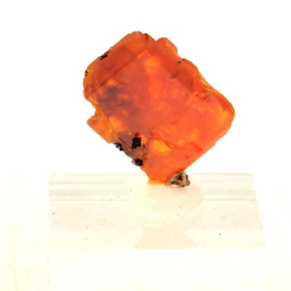 Sten og mineraler. Wulfenit. 30,29 øre. Red Cloud Mine, La Paz Co., Arizona, USA.