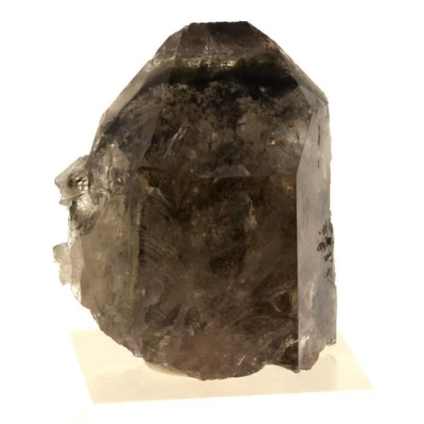 Sten og mineraler. Phantom Quartz. 156,0 øre. Les Deux Alpes, Oisans, Frankrig.