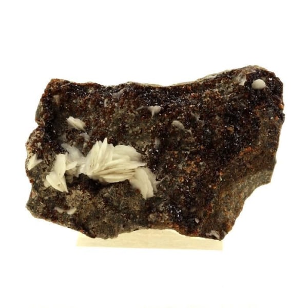 Sten og mineraler. Baryt + Sphalerit. 289,0 ct. Les Cèdres, Saint-Laurent-le-Minier, Occitanie, Frankrig.