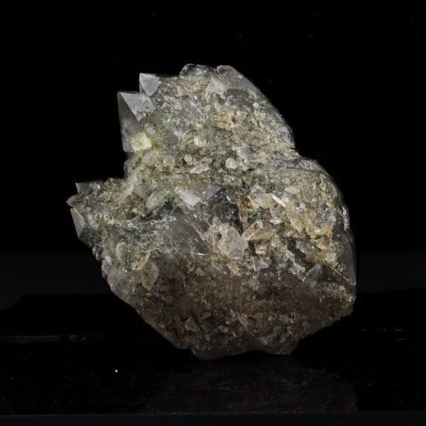 Stenar och mineraler. Kärnkvarts (fadenkvarts) + Klorit + Brookit. 237,0 cent. Les Chapieux, Frankrike.