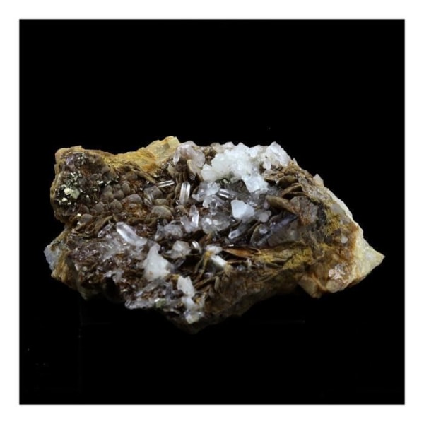 Stenar och mineraler. Siderit, Kvarts, Pyrit. 458,0 cent. Mésage-gruvan, Saint-Pierre-de-Mésage, Frankrike.
