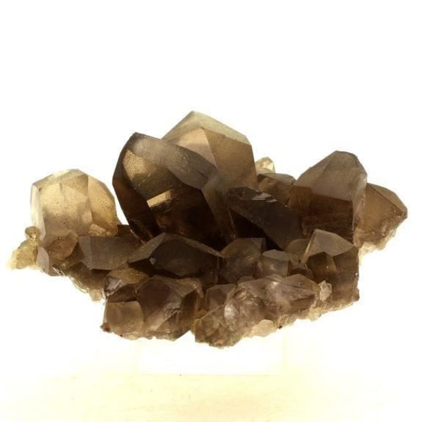 Sten og mineraler. Røgkvarts. 571,0 øre. Mont-Blanc-massivet, Haute-Savoie, Frankrig.