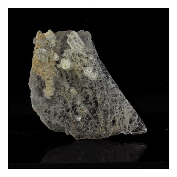 Stenar och mineraler. Prehnit + Kalcit. 73,0 ct. Saint Christophe en Oisans, Frankrike.