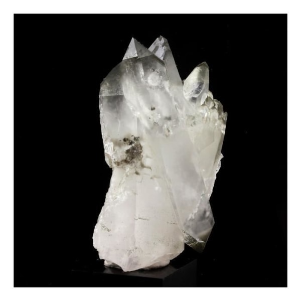 Stenar och mineraler. Anatas + Kvarts + Klorit. 580,0 cent. Les Rousses, Vaujany, Isère, Frankrike..