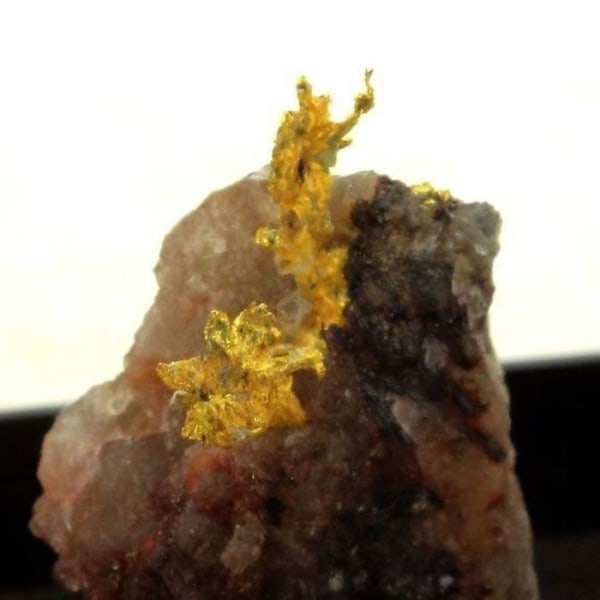 Stenar och mineraler. Inhemskt guld. 11,80 cent. La Gardette-gruvan, Galerie Panis, Bourg d'Oisans, Isère, Frankrike.