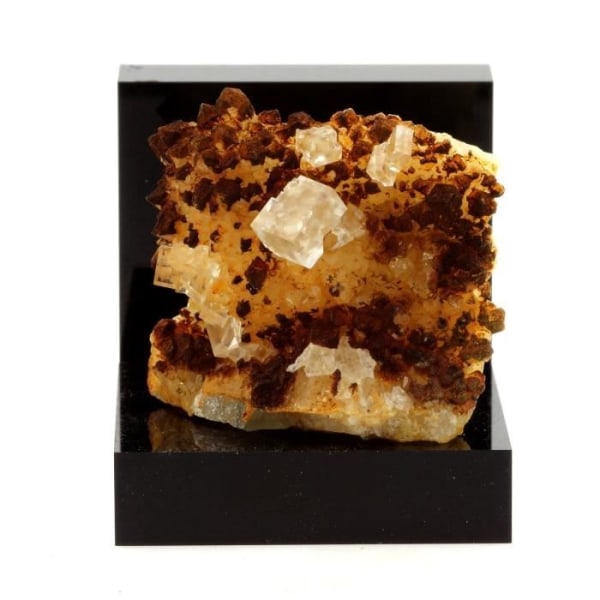 Stenar och mineraler. Fluorit + Kvarts. 110,5 ct. Langeac, Haute-Loire, Frankrike. Sällsynt.