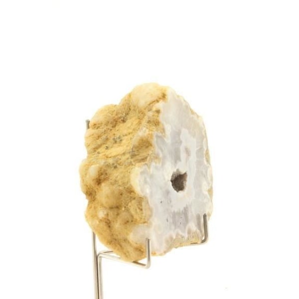 Sten og mineraler. Kalcedon. 636,0 ct. Entrelacs, Savoie, Frankrig.