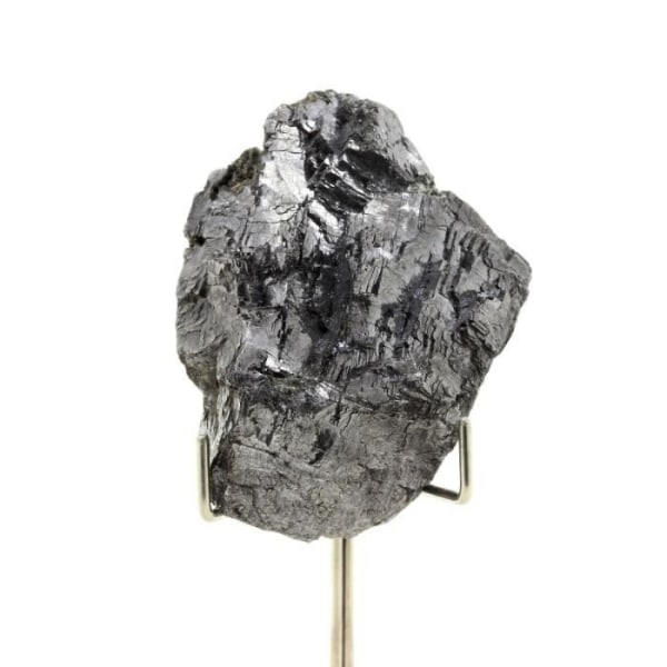 Stenar och mineraler. Galena. 969,50 cent. Zelidja-gruvan, Touissit-Bou Beker, Marocko.