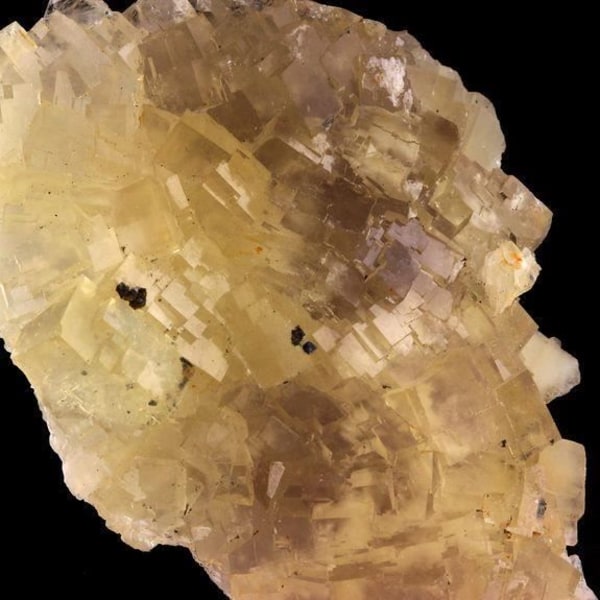 Stenar och Mineraler - ABIJOUX - Fluorit + Pyrit + Galen - 1145,20 ct - Fontsante-gruvan, Var, Frankrike