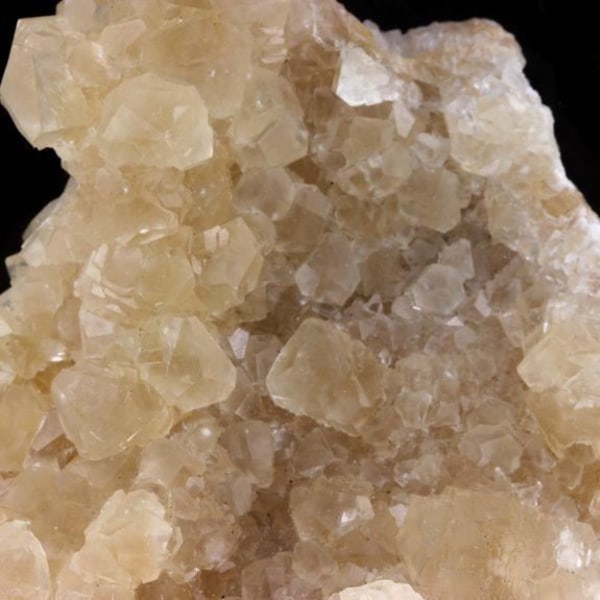 Stenar och mineraler. Kalcit. 1114,5 cent. Bagard Quarry, Bagard, Gard, Frankrike.