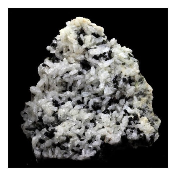 Stenar och mineraler. Albit + Epidot. 623,0 cent. Les Deux Alpes, Oisans, Frankrike.