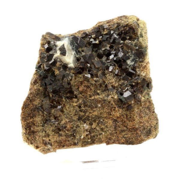 Stenar och mineraler. Grossular Granat-Andradite. 871,1 cent. Pyrénées-Orientales, Frankrike..