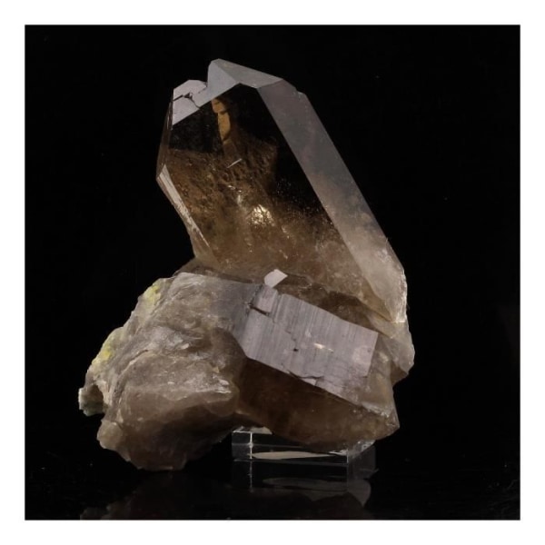 Sten og mineraler. Røgkvarts. 610,0 ct. Mont Blanc-massivet, Frankrig.