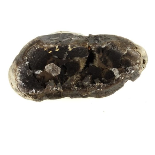 Stenar och mineraler. Septaria, diamantkvarts. 1425,1 ct. Ribiers, Hautes-Alpes, Frankrike. Sällsynt.