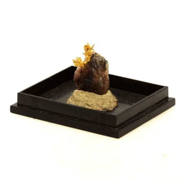 Stenar och mineraler. Inhemskt guld. 11,80 cent. La Gardette-gruvan, Galerie Panis, Bourg d'Oisans, Isère, Frankrike.