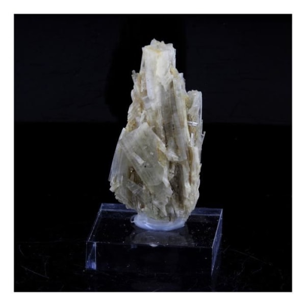 Stenar och mineraler. Klinozoisite. 30,0 ct. Marine de Scala, Canari, Haute-Corse, Frankrike.