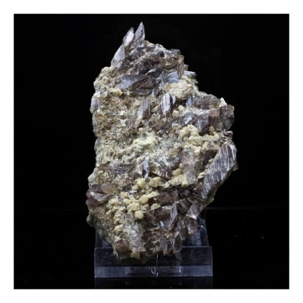 Stenar och mineraler. Axinit + Prehnite. 723,5 cent. Chamrousse, Belledonne, Isère, Frankrike.
