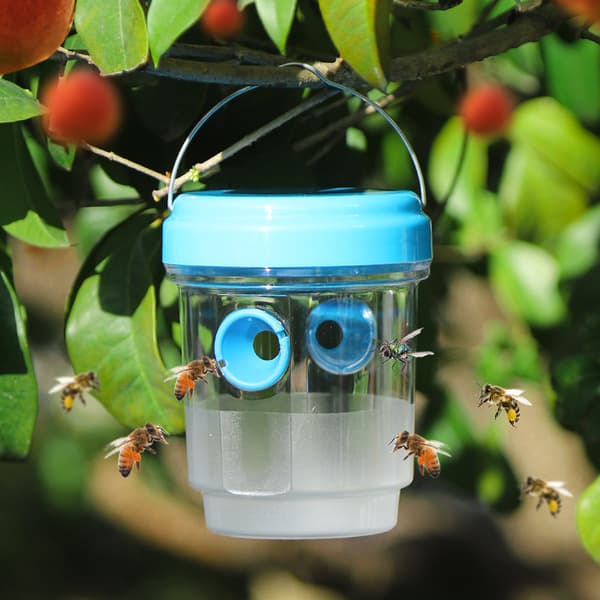 Två soldrivna fruktflugfällor, fälla, bifälla, insektsfälla, fruktflugfälla[BEMS] blue