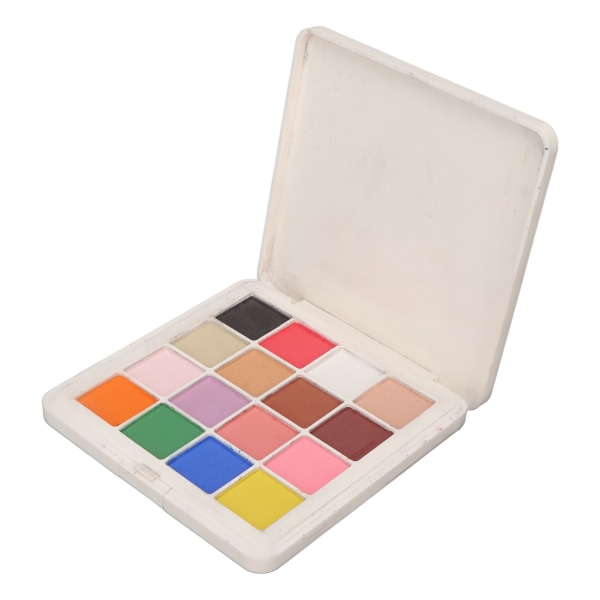 TIMH Nail Powder Professional 16 farver metallisk spejleffekt neglepigmentpulver til hjemmebrug til neglesalon