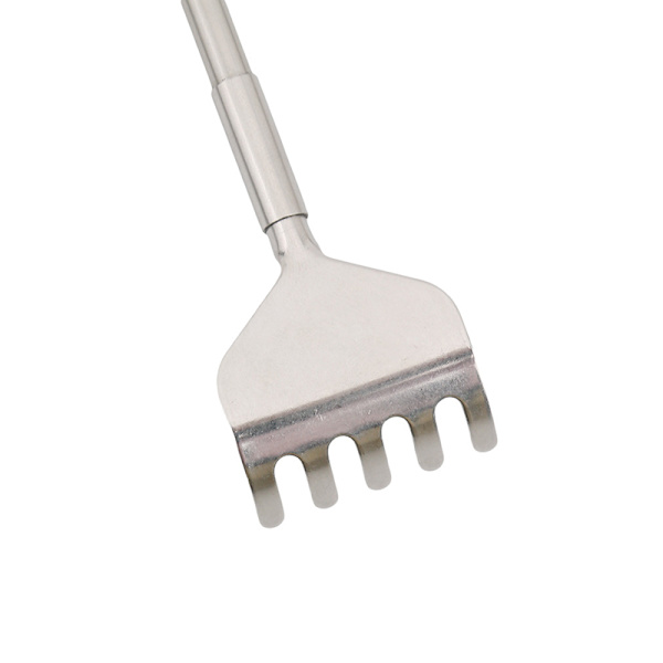 【BEMS】Teleskopisk Rygbørste Silver silver