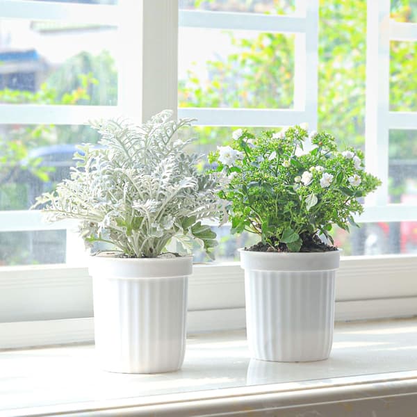 Eco-Friendly Ceramic Plant Pots Set, Self-tering Planters With Drainage System For Air Circulation And Healthy Root Growth