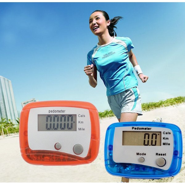 【BEMS】Pedometer