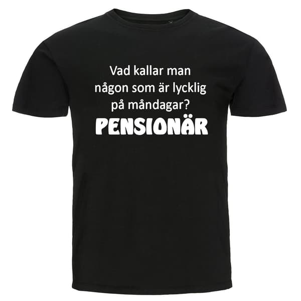 【BEMS】T-paita - Miksi kutsutaan henkilöä, Eläkeläinen L