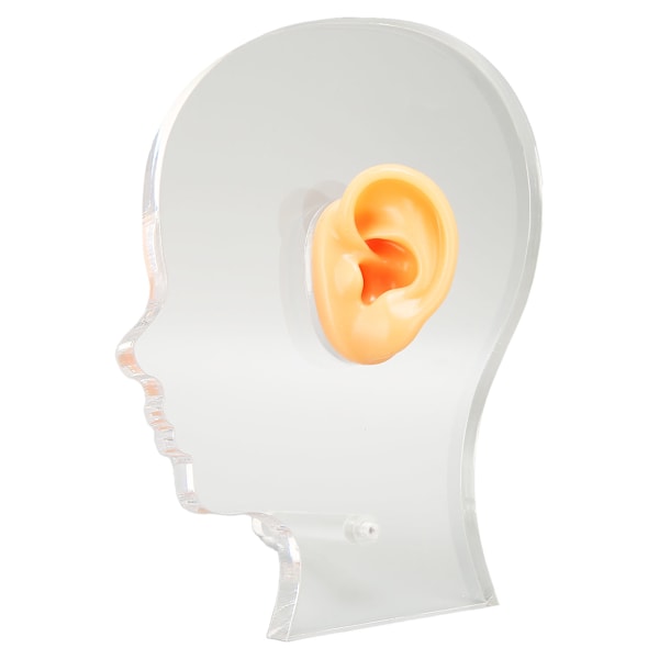 Ear Model Simulation Soft Silicone Professional Ear Display Mould with Acrylic Stand for Hearing Aid Earrings