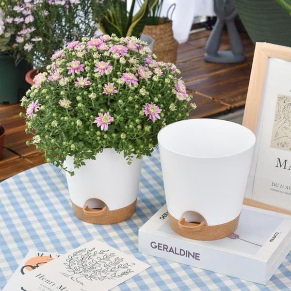 5-pak selvvandingspotte / selvvanding / blomstervander hvid White 5-Pack
