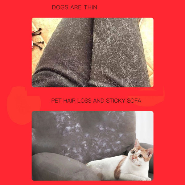 Lemmikkien karvojen poistoaine Kaksipuolinen uudelleenkäytettävä ergonominen kahva koiran kissan karvarulla matto sohvalle vaatteet punainen