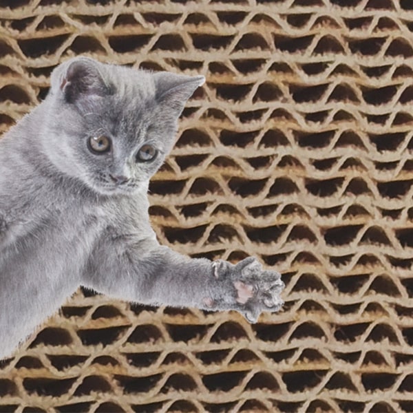 TIMH Cat Scratcher Pad Leke 3 i 1 interaktiv fortykket rund bølgepapp kattunge skrapeleke med Bell Ball Rød