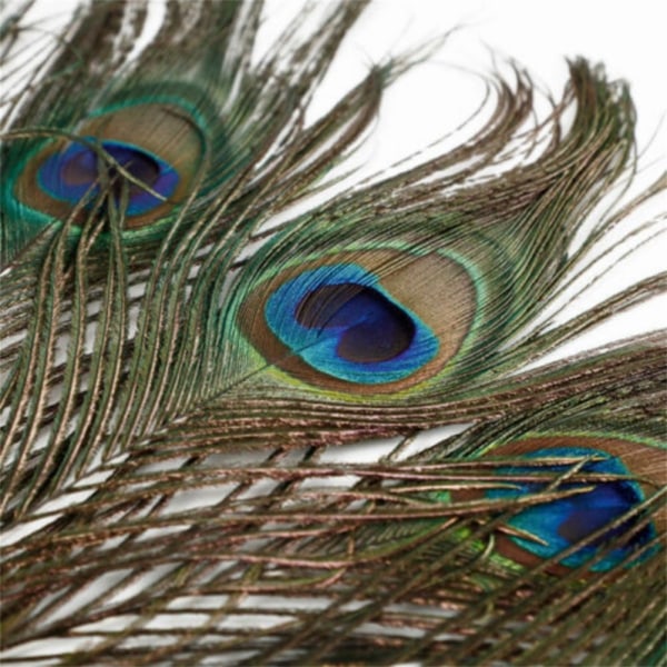 10 st naturlig påfågelfjäder för hus DIY Craft Holiday bröllopsdekorationer/