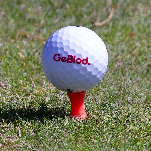 Plastic Golf Tees / Castle Tees (25 pcs) Plast