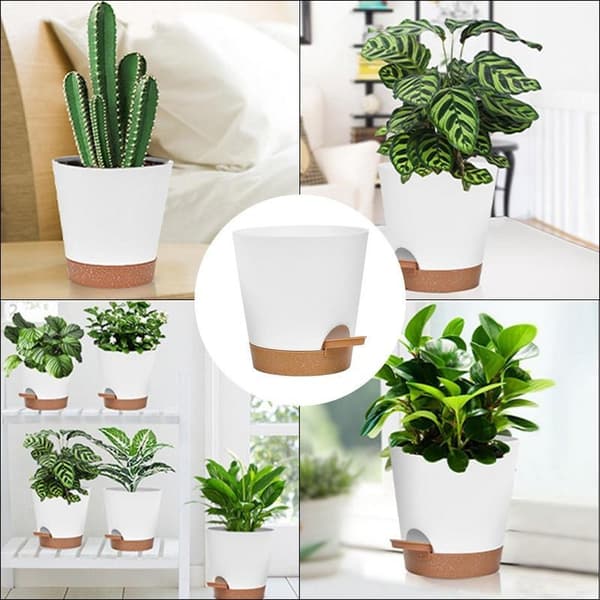 10-pakning selvvanningspotte / selvvanning / blomstervanner hvit White 10-Pack