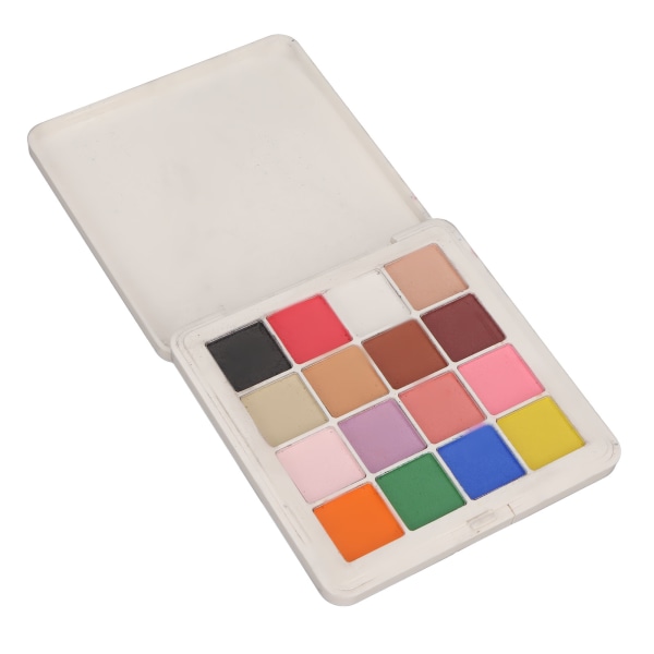 Nail Powder Professional 16 farger metallisk speileffekt neglepigmentpulver for hjemmebruk til neglesalong